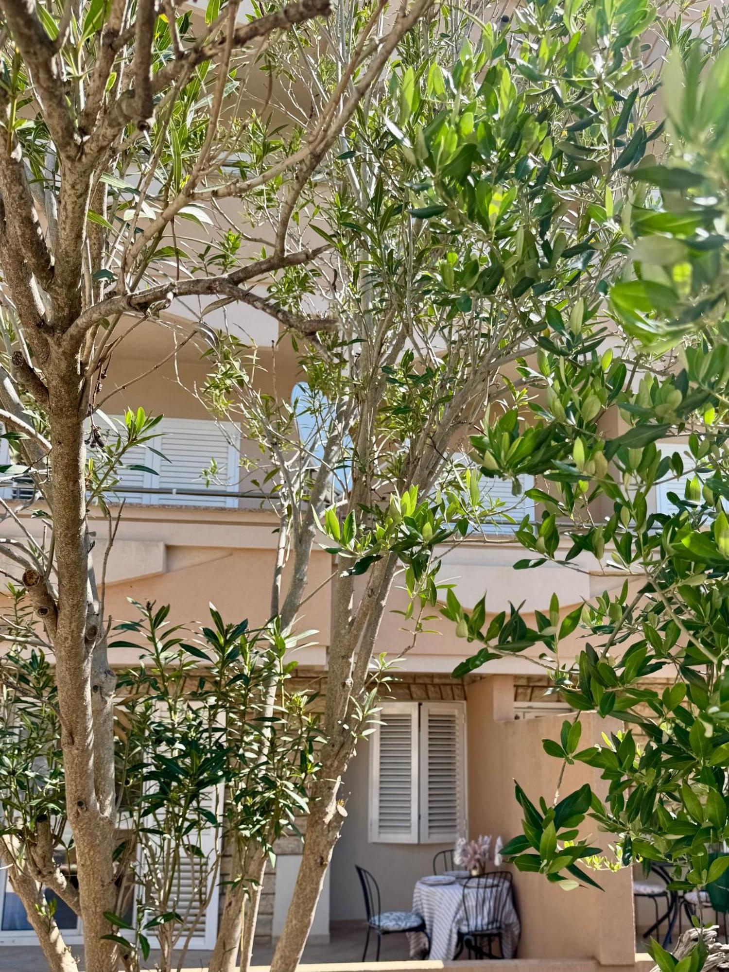Apartments Toma Novalja Exterior photo